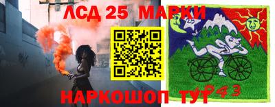 гидра Дубна