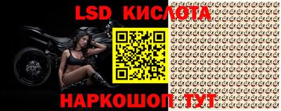 бошки Донецк