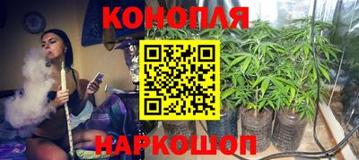гидра Дубна