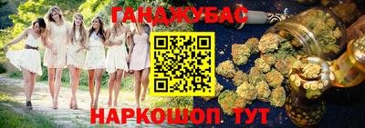 гидра Дубна