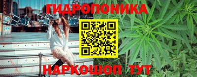 бошки Донецк
