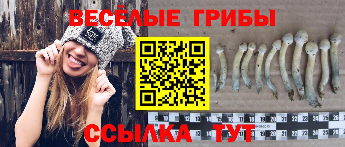 Псилоцибиновые грибы мицелий Менделеевск