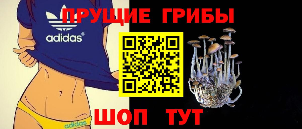 Менделеевск  Псилоцибиновые грибы ЛСД  Вход с VPN 